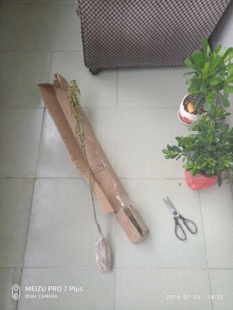差评，上当受骗，15块钱买了根干树枝，希望其它买家看到我的评价，能够避免受损失。