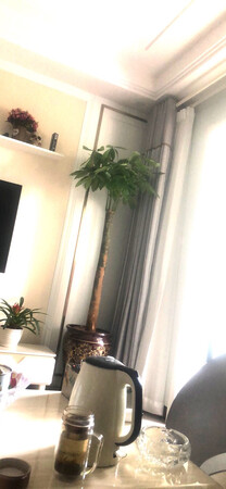 质量挺好，很满意。