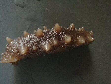 孕晚期才开始吃，准备多屯一些月子里吃，收货后很满意，个头很大，肉也很紧实，经济实惠，一百个满意。