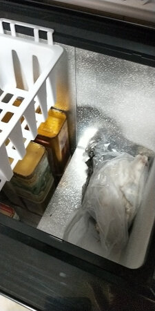 产品虽小巧，但空间很可以的冷藏冷冻切换不错，小状况卖家服务可以及时给解决。可以提前买海鲜蟹等囤起来了?