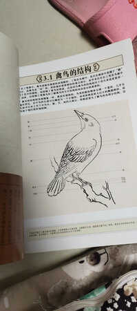 很好，值得买，还会再来
