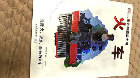 儿子特别喜欢火车经常要**买一些火车相关的物品，这次京东购书节浏览发现了这本火车儿童超级大百科，果断拍下送给儿子！到货后发现果然不错，大开本，大彩图而且还是立体感很强的图片，搭配火车历史的阐述，真的非常的超值！