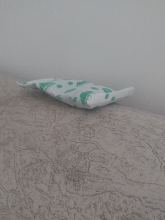 我住的是10平米小房间，买来的活性炭非常够用，抱着试一试的心态买了几包放沙发和柜子里，明显感觉味道少了好多，我这雾霾有点重，房间味道确实很伤脑筋，有这活性炭随时都能呼吸清新的空气了，等我过年回老家还要再继续买个几盒带回去，非常满意的购物