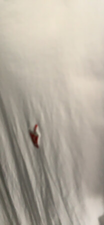 快递不错，衣服质量也很好，几十块的衣服，不错
