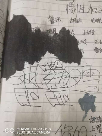 指名道姓要纯黑色，好吧，等了三天你给我寄来8盒蓝黑？拍照片给客服还死鸭子嘴硬说这是非碳素的，把蓝色硬说成淡黑色，当客户色盲啊，照你这样说，淡红就是粉红喽？最后一张图是毛笔墨和他们产品的对照，客服一看，直接甩了句这是售后问题不贵咱管！**叉！