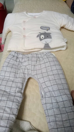 很厚实 很可爱 囤货中