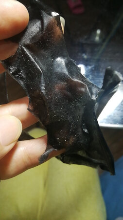 正品。祛黑头面膜真心好用，质量还是一如既往的好。第三次购买了，感谢商家这次还送了润肤面膜，用完还来。
