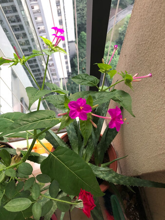 物流给你，包装严实，很好。喜欢