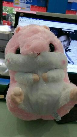 不求别的，她喜欢就好。???