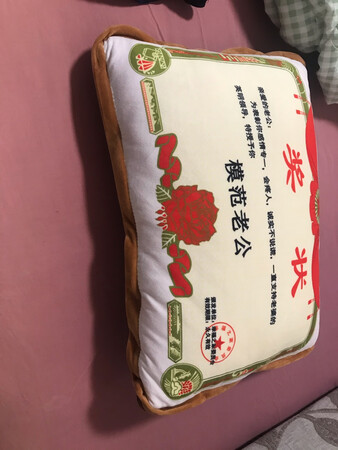 这个很有趣的，被子也很实用