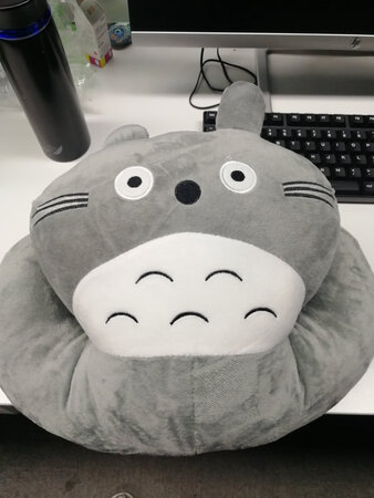 午睡龙猫抱枕，我是办公族。每天中午睡觉都胳膊疼。就买了抱枕。这个抱枕很厚，龙猫和下面环装的不连，胳膊可以放进去，很贴心。毛很柔软，面料舒适。里面填充物，我就不晓得了！中午抱着睡，很惬意，价格比较合适。国庆节前买的，因为阅兵，发货晚了一周