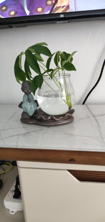 好可爱。