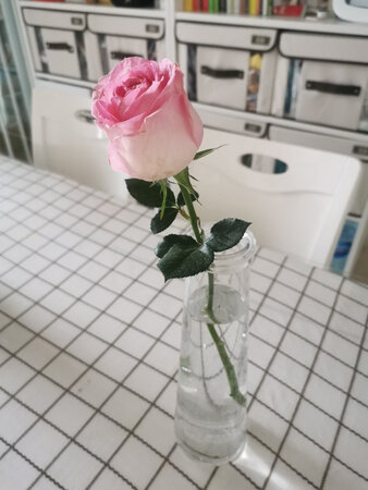 这个牌子的东西都很好，餐具，收纳用品。。。很不错的。赶上活动囤了很多，买了好多个箱子，这款收纳箱尺寸很搭宜家的柜子。东西的价格也很实惠，主要是到货速度也很快。值得推荐购买。所以外包装都很扎实，外面有盒子，收到无破损。。。
