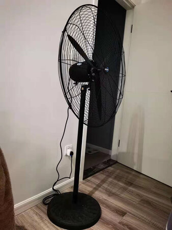 外观设计：工业风设计，跟餐馆里的一样。
档位风速：风速很大，主要是买来吹房间里的甲醛，这个风力足够了。
静音效果：没啥静音效果，声音比较大。
其他特色：安装简单，十分钟就能安装好，底盘比较重，没有出现晃动的情况。