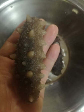 包装很用心，很大很厚的泡沫箱加保温箱再加上好几个冰袋，来的时候还是冻着的，再说海参，个头很大，味道鲜美，口感不错，我是专门吃后才来评价的。总的来说非常满意推荐大家购买。