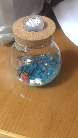 不错的小生态瓶，还有光线可变换！