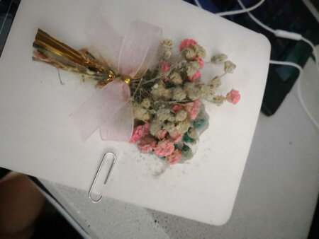 花都发霉了