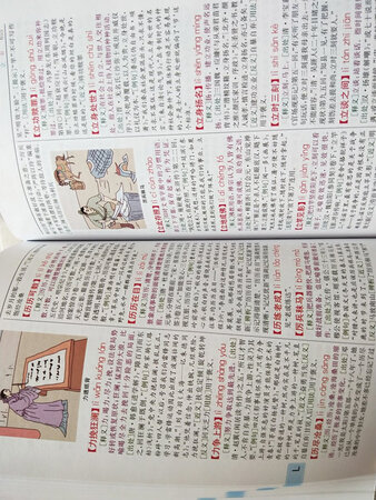 特别喜欢这本词典，加购物车都快一年了，价钱一直都差不多，这次赶上双十一，算了，买了吧，充实一下自己的词汇量，说话会更有文采的。词典是彩色的，纸张很厚实，字迹也特别清楚，解释很到位，出处也挺好，装订工整，厚厚的一大本，一时半会是看不完的，总之一句话，这本词典你值得拥有???