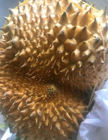 味道不错，但是价钱完全没优势啊～搞不懂，不懂，懂…