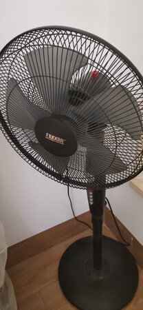 好