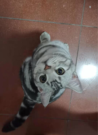 还行吧