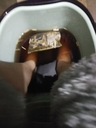 宝贝收到，物流很快，本以为双11会慢一些，结婚还是跟往常一样很快收到！质量特别好，很厚实，感觉是软胶，个人不是太懂这个，但是那种不容易摔烂摔坏的那种材质！里面有脚踩的滑轮，很舒服用着！保温效果特别好，倒进去开水没有异味，没有胶味，很值得选购的一款产品！物超所值！