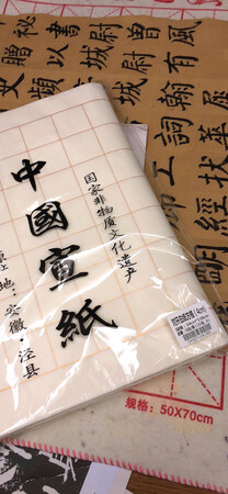 今天货物收到，我这是已经第二次买这家的纸了，纸的书写感觉很好，不洇墨也够厚，很好，以后还会来。