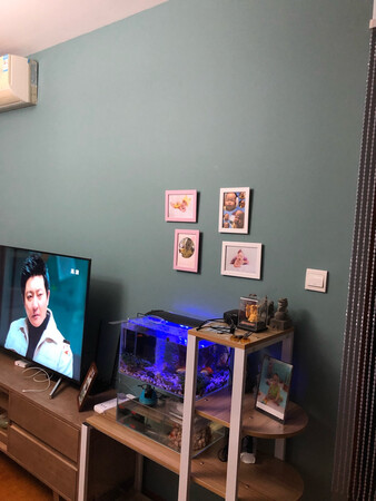 终于买到心仪的宝贝！超级好用！分分钟搞定照片墙上?据说还能重复使用，可以摘下来墙上无痕，期待