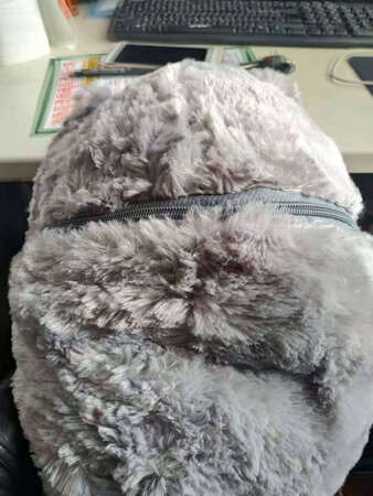 这啥玩意，太失望了