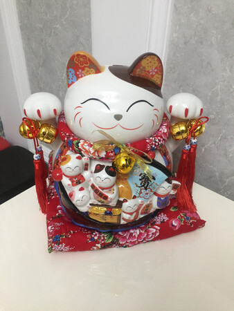 质量很好！物流速度超快！值得购买