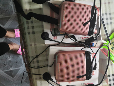 爰朗扩音器小蜜蜂的，有线版，声音挺大的，音质又好，可以插u盘，又可以边播边录，商家服务非常好，价格又优惠，真心的好了，下次需要时还会买
