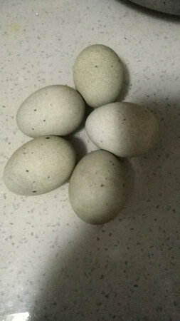 皮蛋质量很好，味道不错，价格便宜