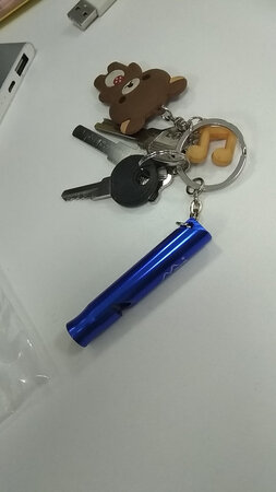 双十一买买买，满99减50，穿在钥匙链上，以备不时之需。万一哪天地震了呢，万一被困电梯了。嗓子会被喊破的。铝合金的，很轻。不知道会不会掉漆，可惜没有原色的，不涂漆的应该会好些，至少不存在掉漆的风险，铝合金不生锈。