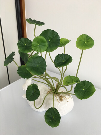 不错，非常漂亮，大小刚合适。