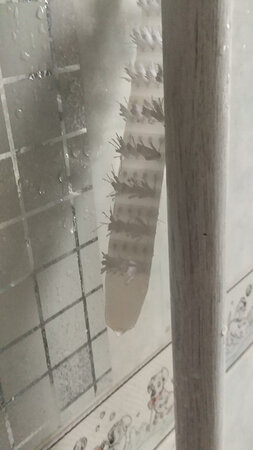 已经使用上了，管用。