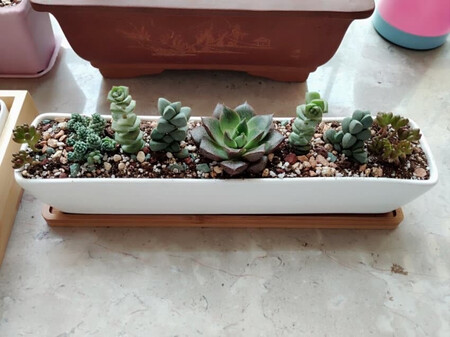 很不错，可以的。