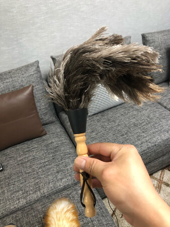 大概是这个样子……