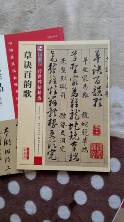 已经有一本草诀歌了，发现了这个，买了作对比写。