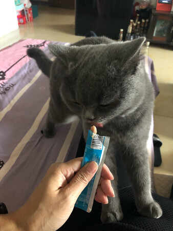 主子很喜欢，回购，送货快，价位合适