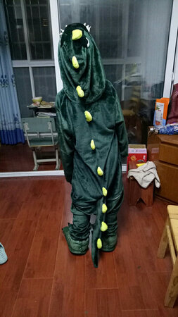衣服收到了。孩子很喜欢。衣服穿起很暖和。也好看物流也很快。很满意的一次购物
