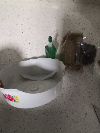 刚收到还没有种，虽然我有盆了，不过在运输中赠送的盆挤坏了
