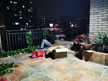 适用场景：户外装饰
美观程度：颜色自然
大小尺寸：叶子不算大，需要两根合起来缠绕效果更好
工艺品质：做工良好
其他特色：头尾有相互缠绕的卡扣，非常方便
先买了5包试了下效果，还不错，双十一又加了20包，多缠绕几根更加好看