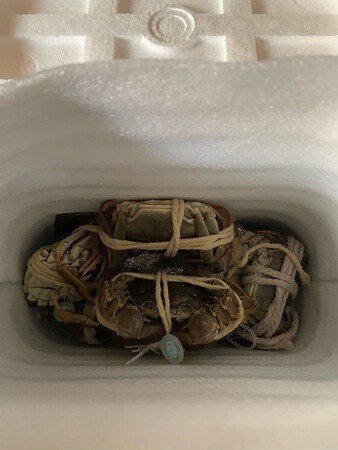 收到货了还活着呢哈哈