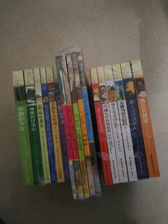 很好的书籍，这次活动买了几十本书，今年看不完了，价格优惠活动力度很大，慢慢看吧，不着急。快递也很快，许多次日达，真是太好了。