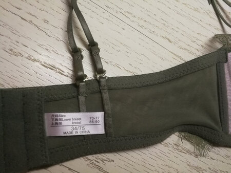 主体锦纶面料，手感不错，内里棉质，很亲肤，上薄下厚的设计聚拢效果非常好，蕾丝装饰尽显妩媚之感，双肩带可以常规也可以交叉，美背功能强大，是最大的亮点。