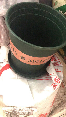 花盆好看又好用，物美价廉值得拥有?