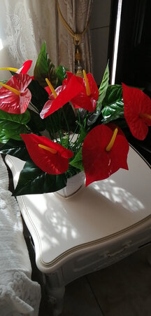 好花。