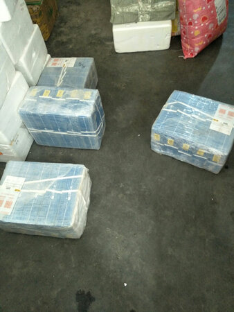 京东商城的东西值得大家放心购买，我单位的全部采购都是在京东购买的，质量有保证，非常放心！