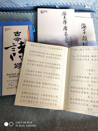 一共10本，质量很好，纸张厚实，质感不错。还带了一本临摹纸，两只笔两包笔芯，足够用了，非常值