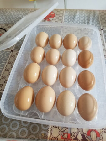 容量大，装取方便，冰箱一下子整洁，不串味。